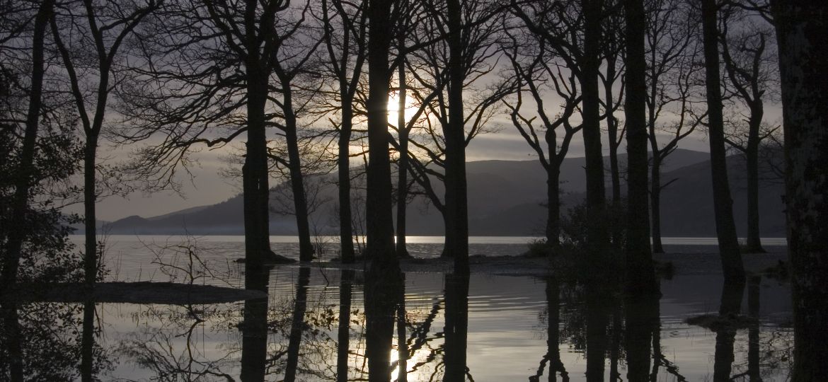 sallochy_flooded_forest_Sunset_Lomond2